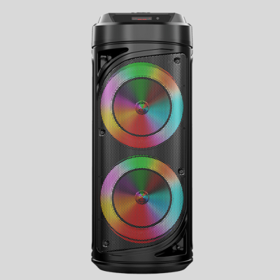 Bluetooth Portable Karaoke Speaker with Woofer ZQS6212