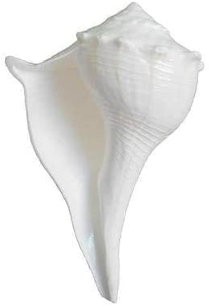 Lakshmi Shankh For Pooja