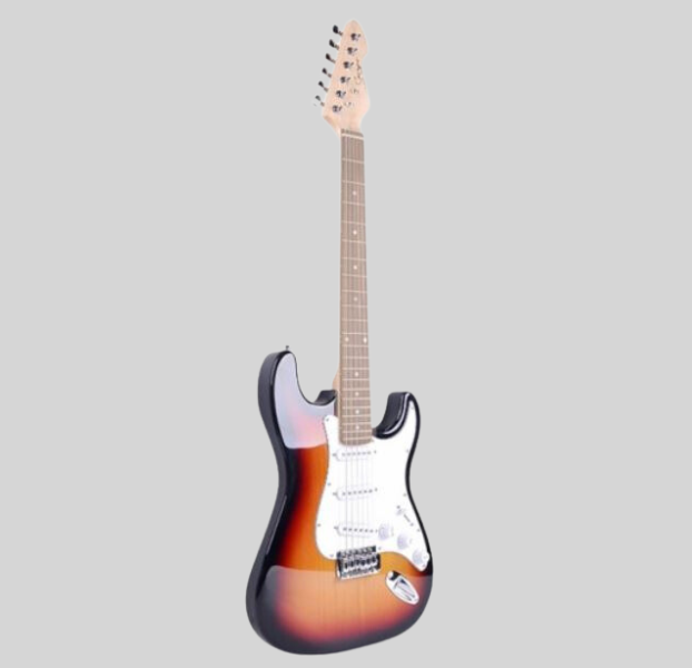 Electric Guitar Beginner- 3TS