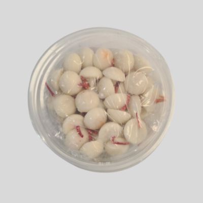 Ghee Diya Box of 100pc