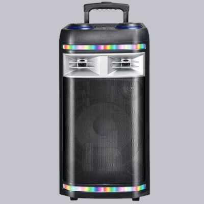 Portable Bluetooth Party Outdoor Speaker with Twin Microphone Model CH126