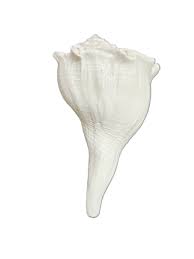 Lakshmi Shankh For Pooja