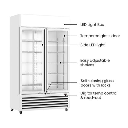 Thermaster Large Two Glass Door Colourbond Upright Drink Fridge - LG-1200P