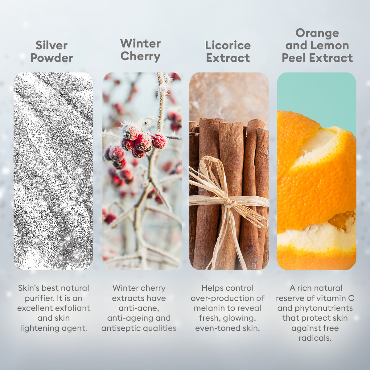 VLCC Silver Facial Kit 60G