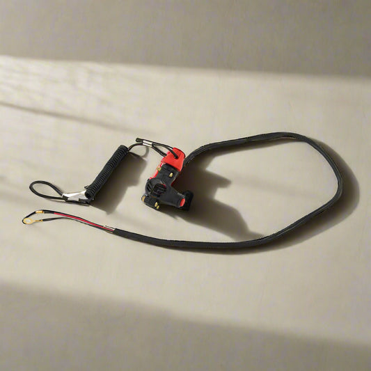 Dual Function Kill Switch for Mini Bikes
